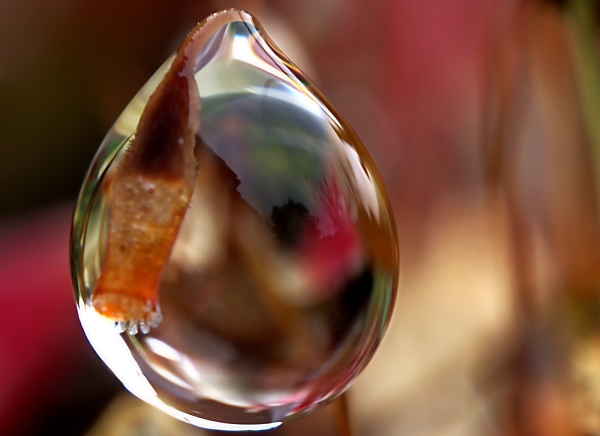 A very small droplet