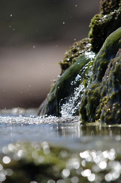 low water