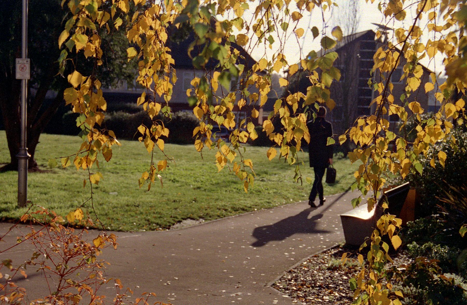 Autumn Walker