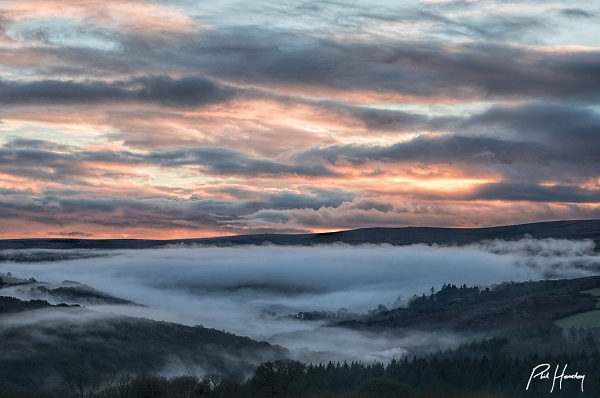 Brume