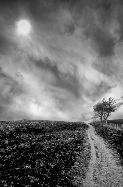 Coastal Path.