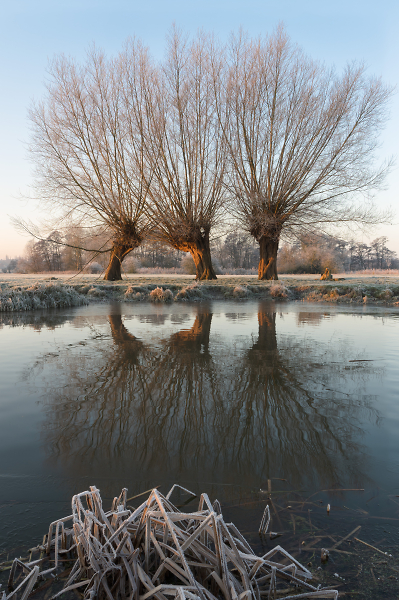 The Stour, Suffolk