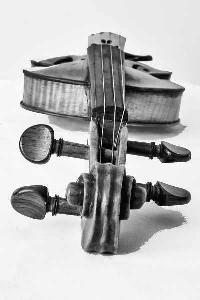 Violin.