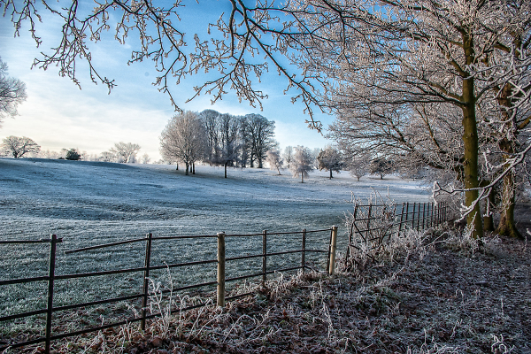 Winter day.