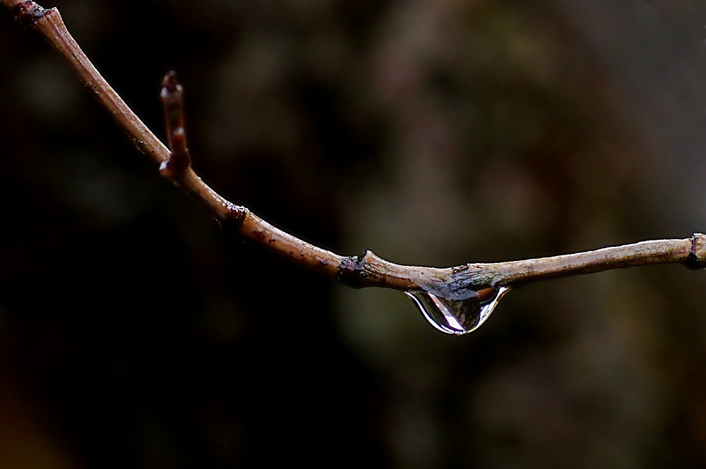 Just a drop of water