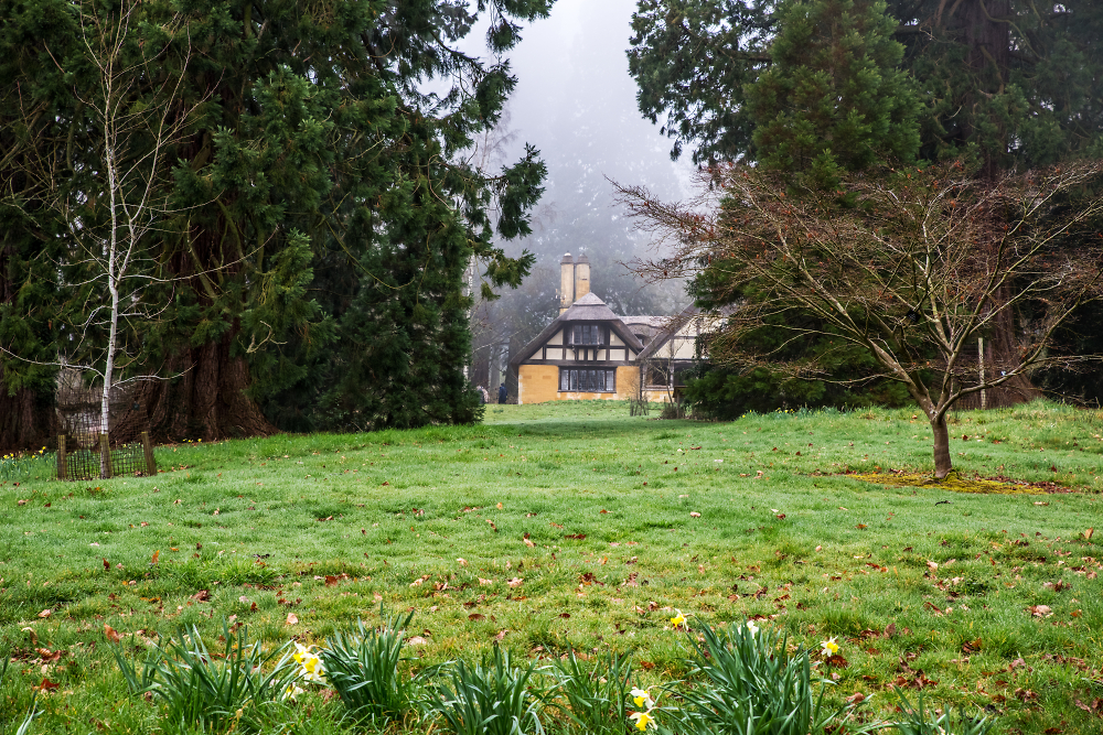 Misty Dairy Cottage