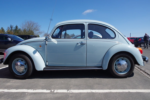 Blue Sky Blue Beetle
