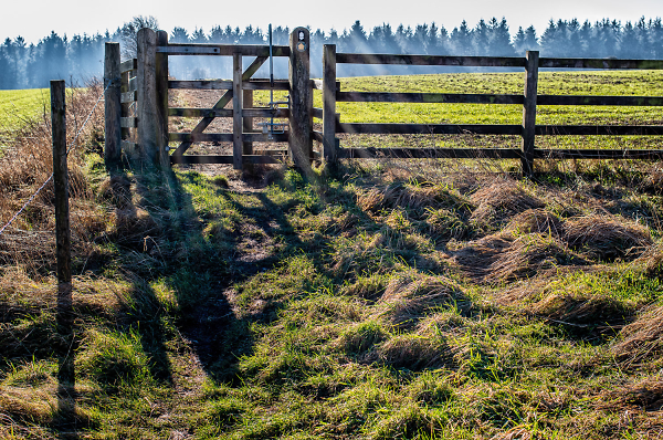 Gate.