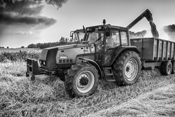 Harvest time.