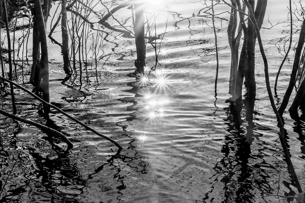 Here Comes the Sun