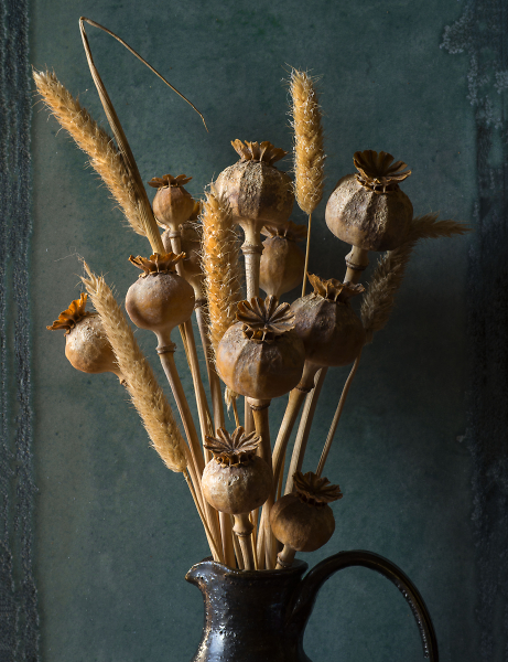 Old Poppy Seed Heads