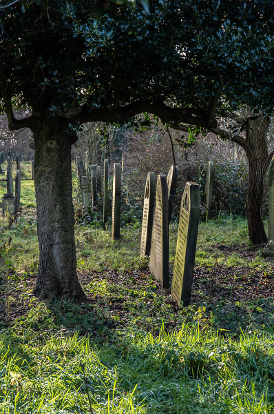 Old stones.