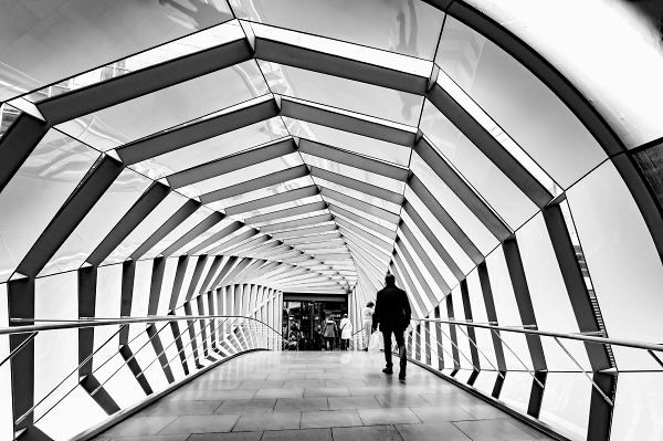 Tunnel Vision