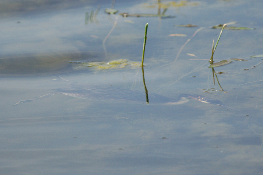 Below the surface