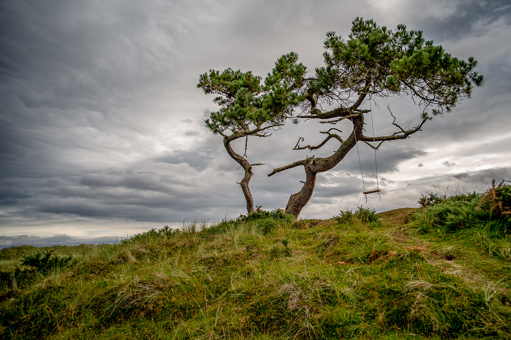 The Hanging Tree by kerrowdown - Pentax User