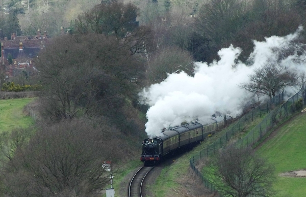 afternoon steam
