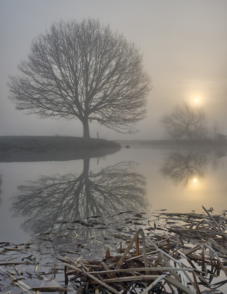 Another from the Dedham Vale