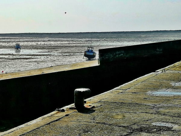 Low tide