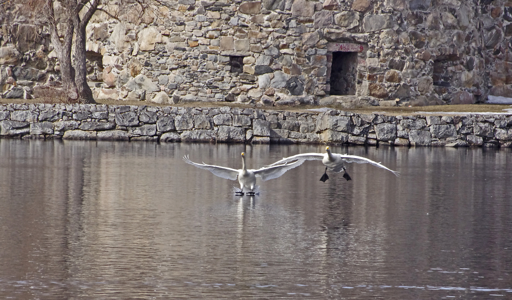 'Landing'