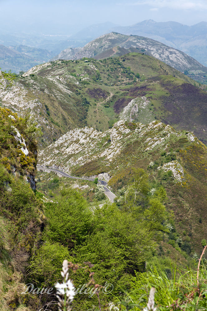 Road to the Mirador de la Reina