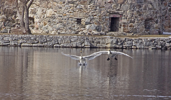 'Landing'