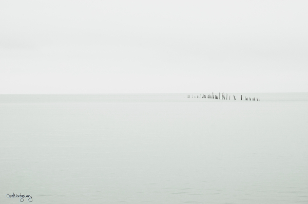 Off the Chesapeake bay bridge
