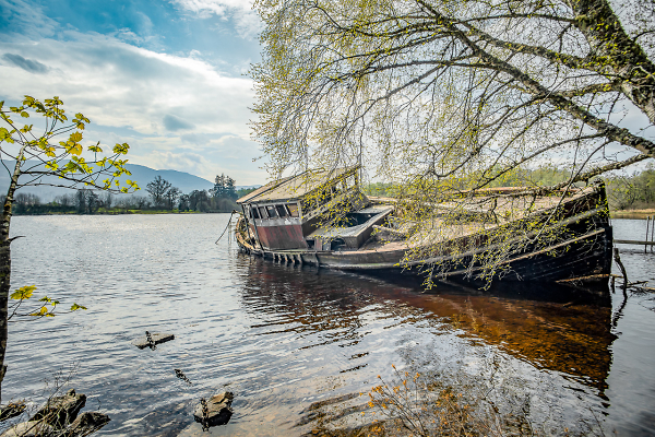 Spring On The Loch