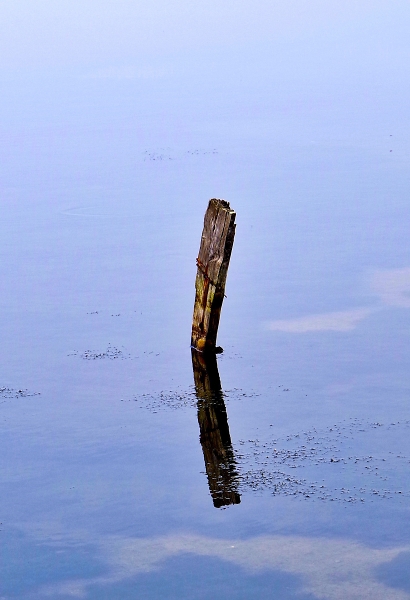 Still water