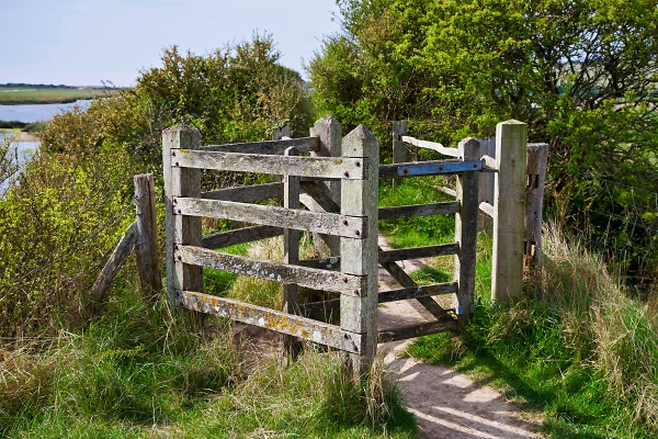 The gate