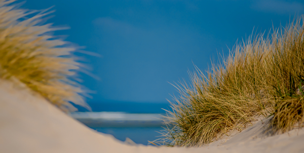 To The Beach