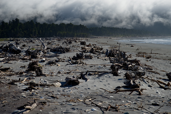wasteland...