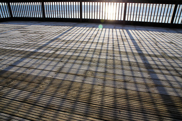 Frosty Lines