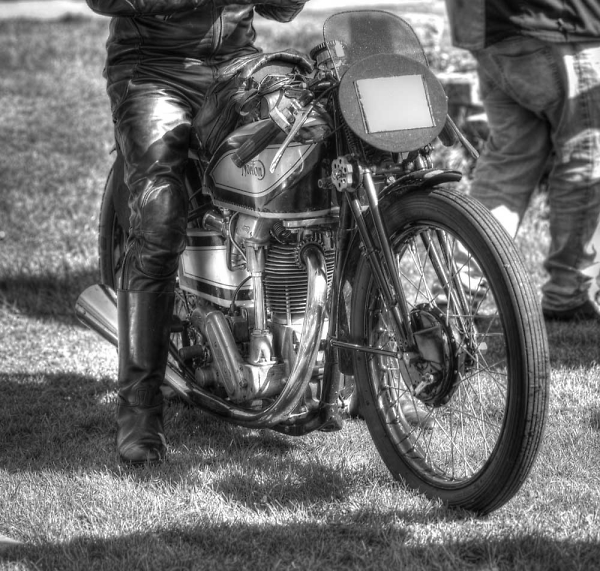 Norton