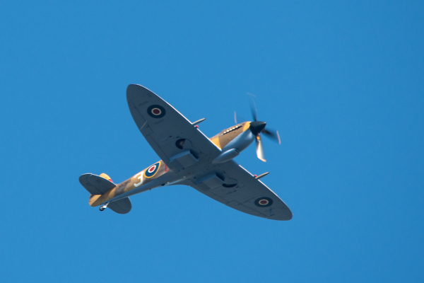Spitfire