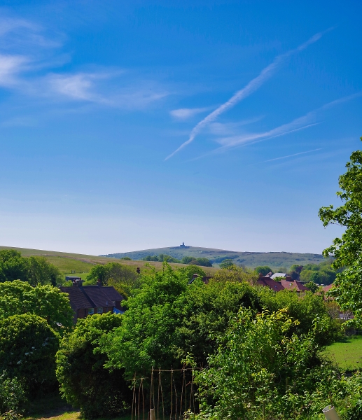 The Downs