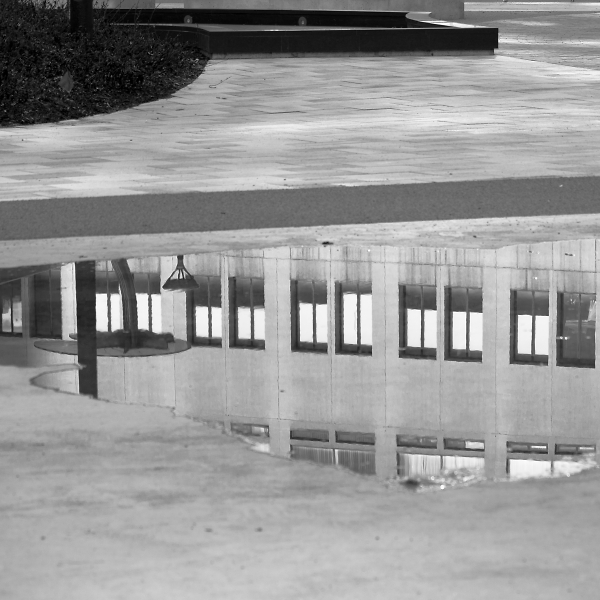 Tromple l'oeil? Digital Art? Puddle?