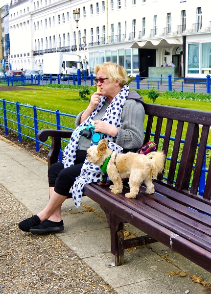 What about my Ice cream....woof