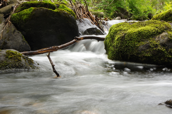 Spring Runoff Debris