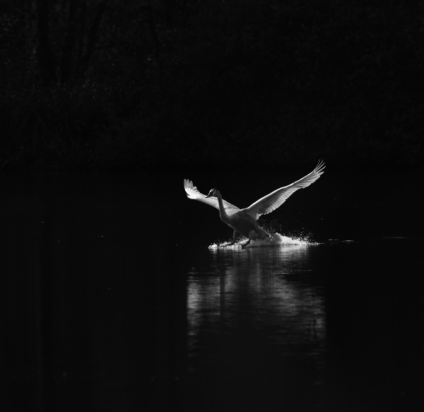water landing