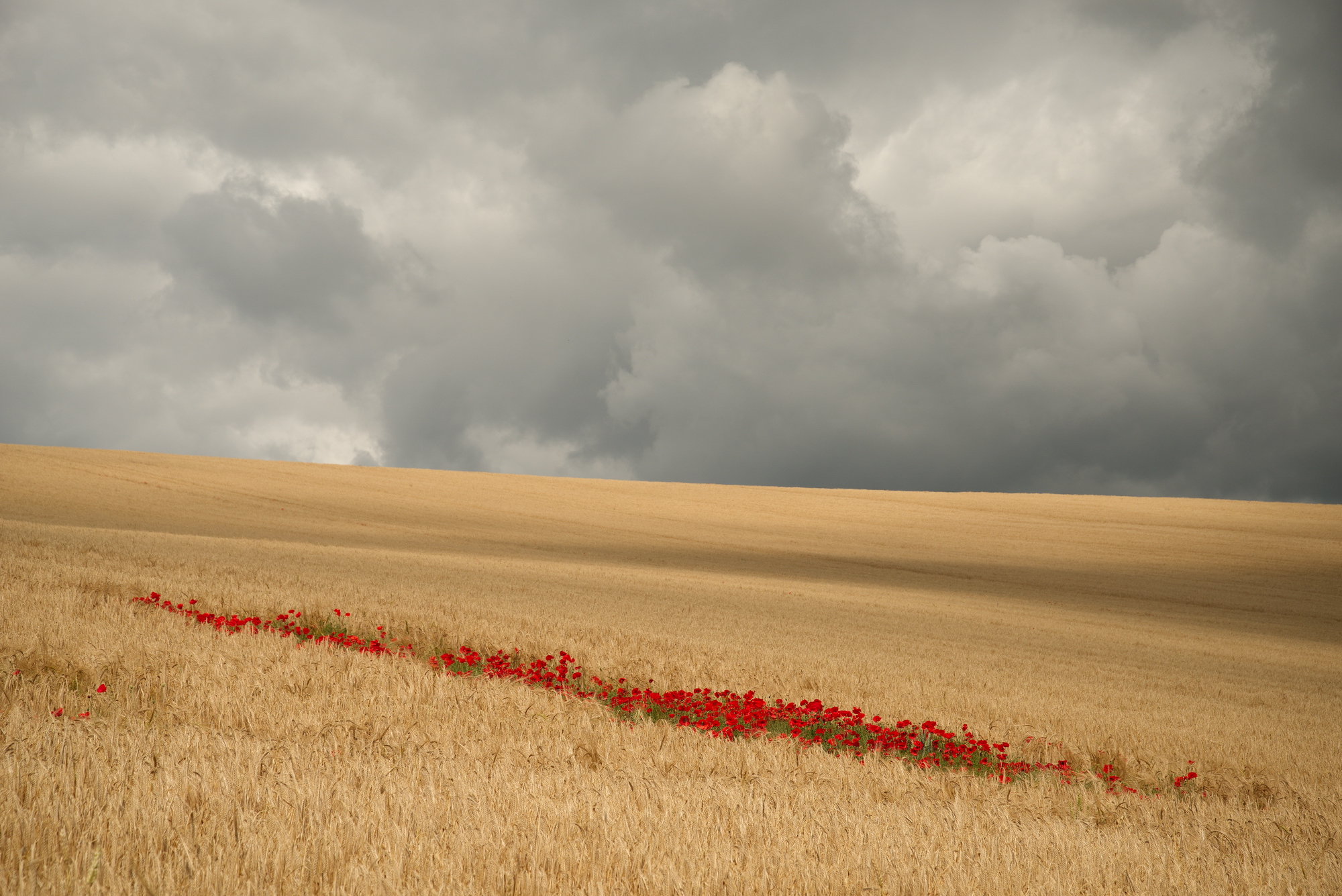 a simple scene