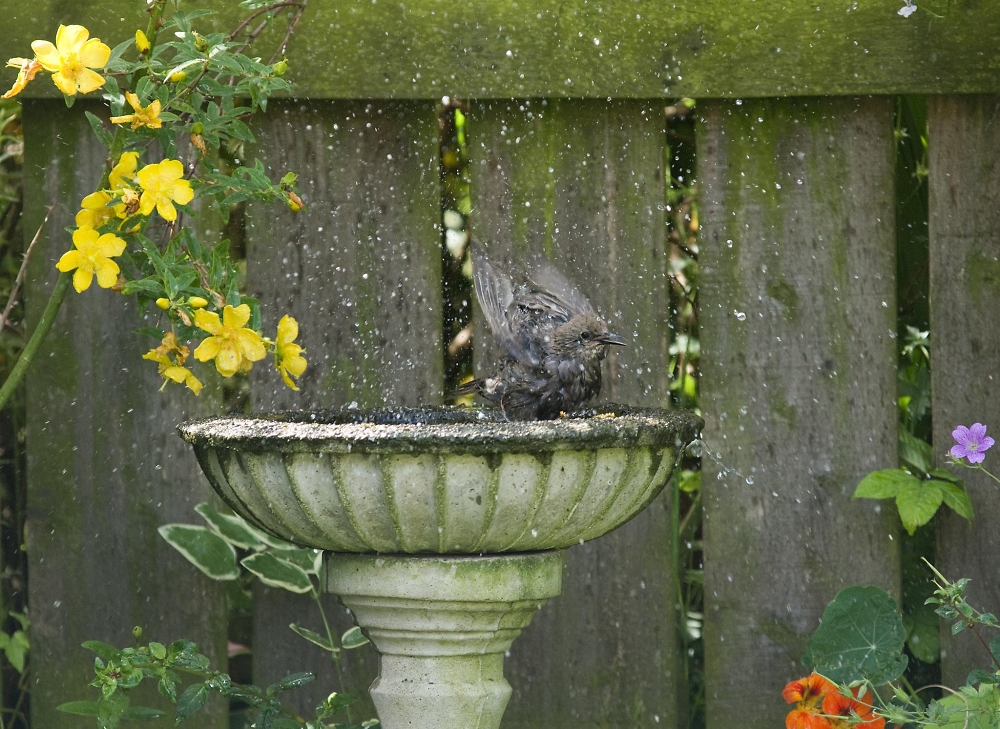 wash time