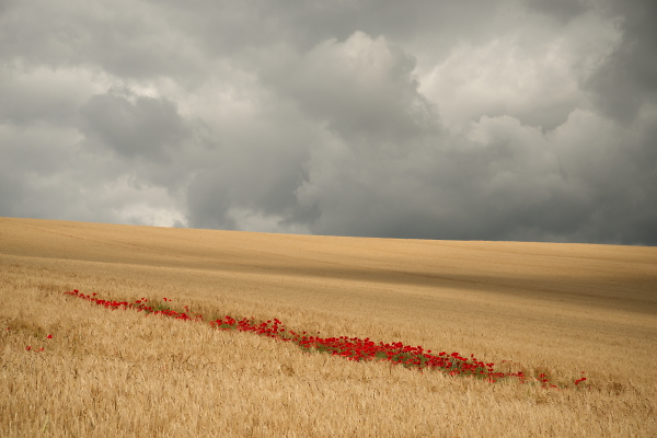 a simple scene