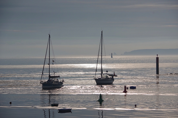 Early morning - colour