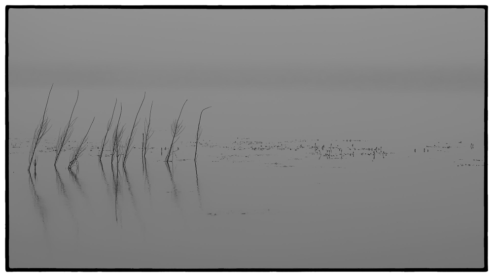 Fog