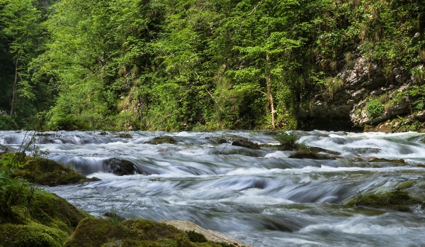 Vintgar Gorge - 2