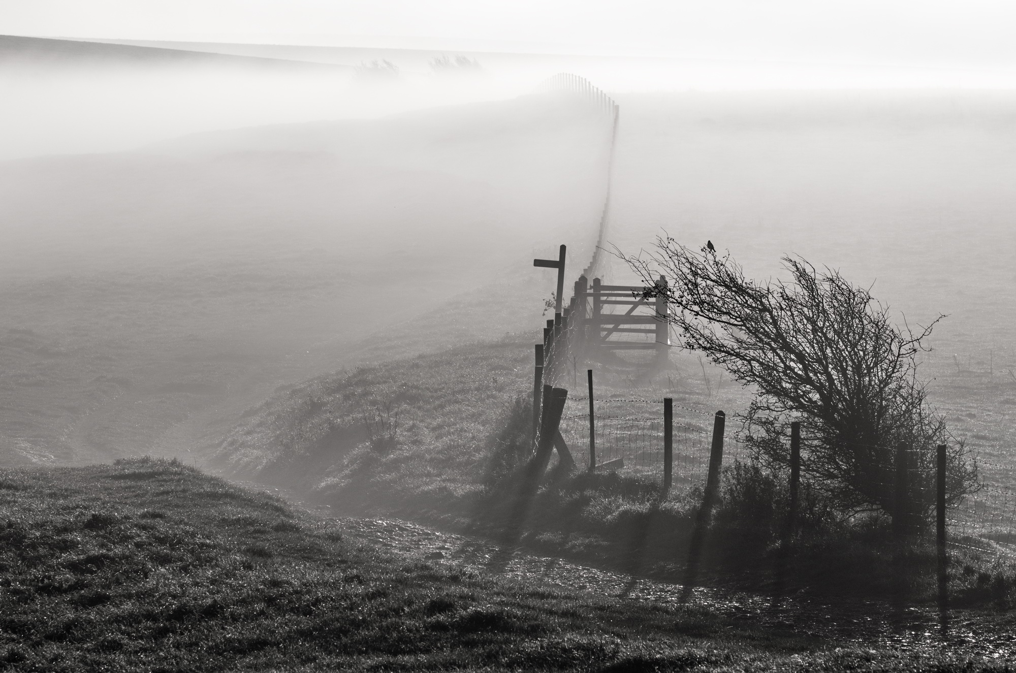 South Downs Way