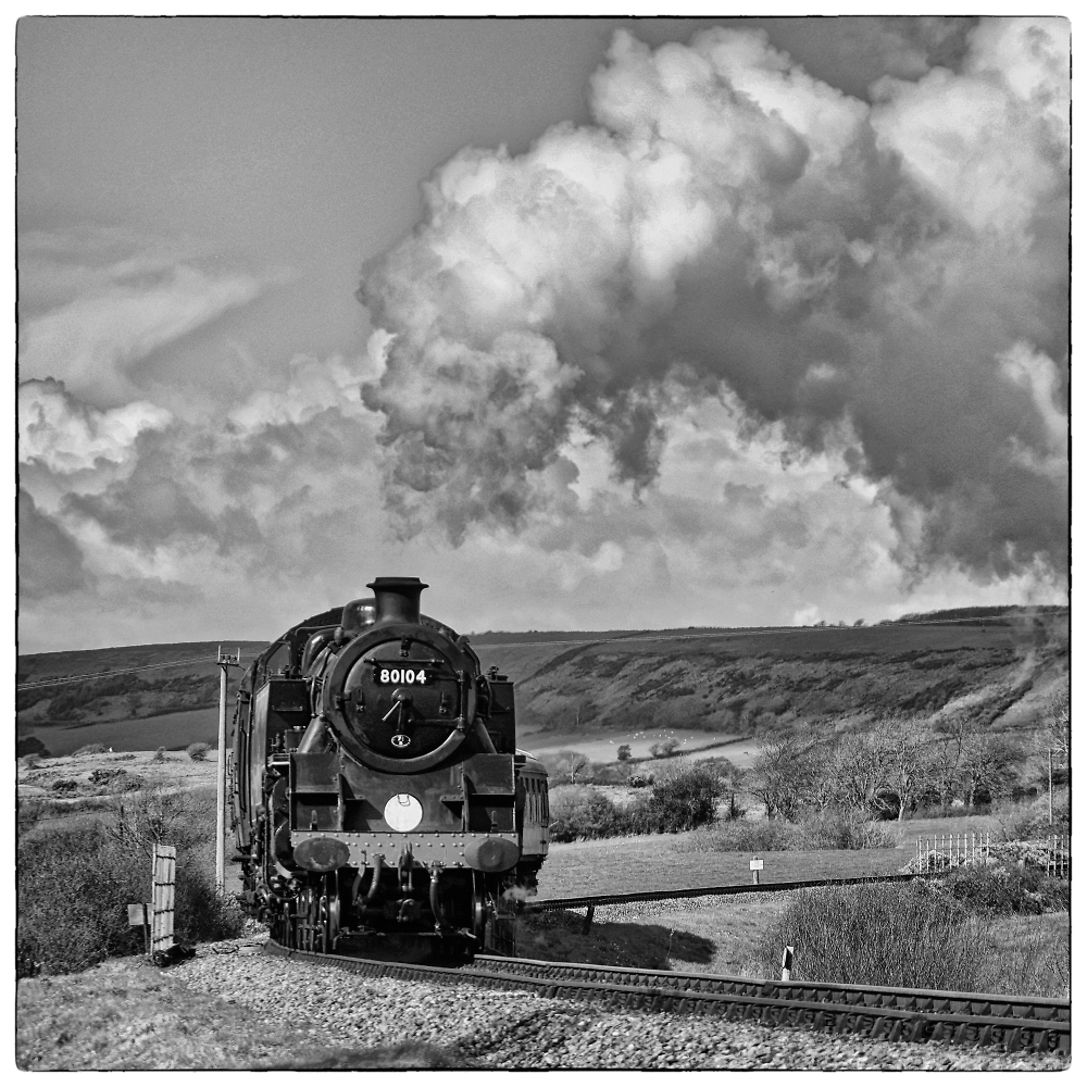 Dorset Steam