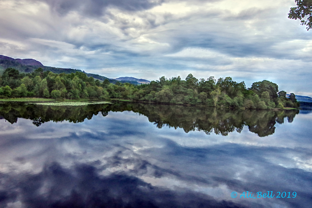 Loch of the Lowes Perthshire Scotland Loch of the Lowes Perthshire Scotland