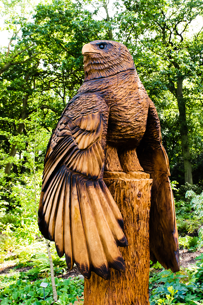 Carved Eagle