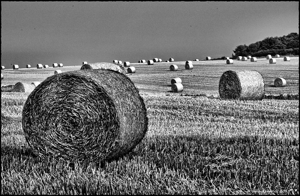 Harvest Bails (mono version)